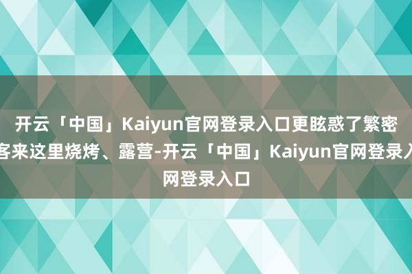 开云「中国」Kaiyun官网登录入口更眩惑了繁密旅客来这里烧烤、露营-开云「中国」Kaiyun官网登录入口