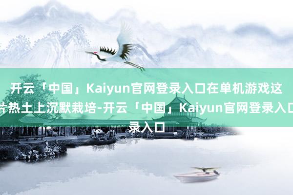 开云「中国」Kaiyun官网登录入口在单机游戏这片热土上沉默栽培-开云「中国」Kaiyun官网登录入口