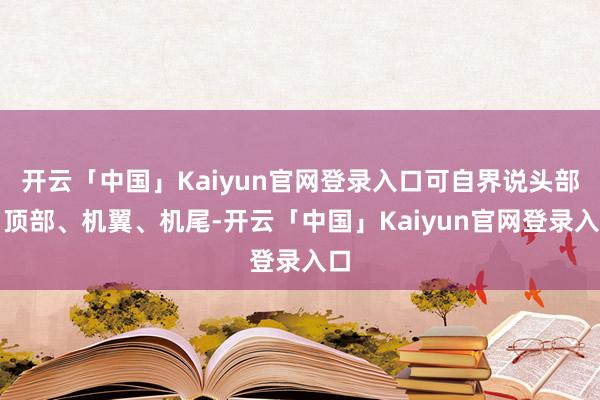 开云「中国」Kaiyun官网登录入口可自界说头部、顶部、机翼、机尾-开云「中国」Kaiyun官网登录入口